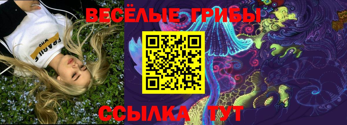 Галлюциногенные грибы Cubensis Камышлов