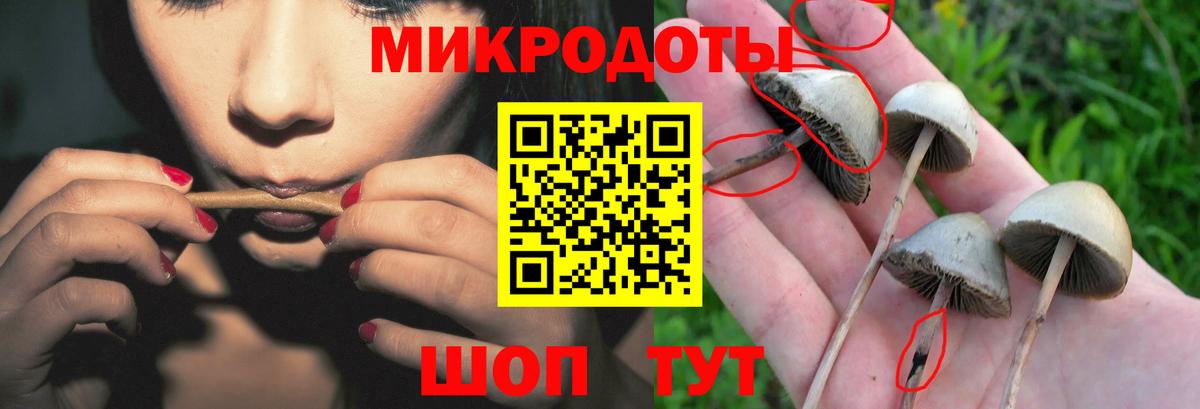 Псилоцибиновые грибы ЛСД  Вход с VPN  Камышлов 
